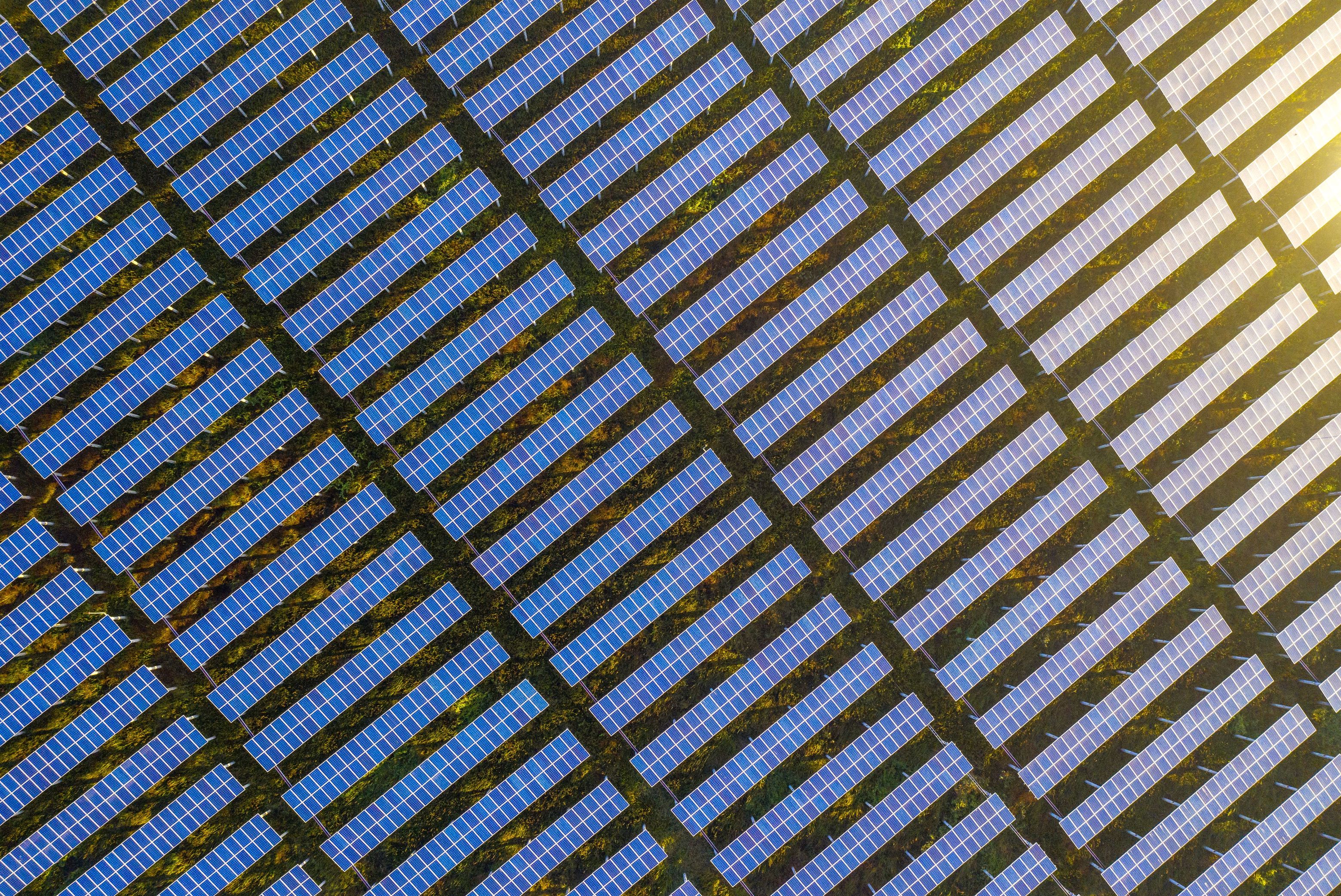 Group of Diverse Hands Together Joining Concept