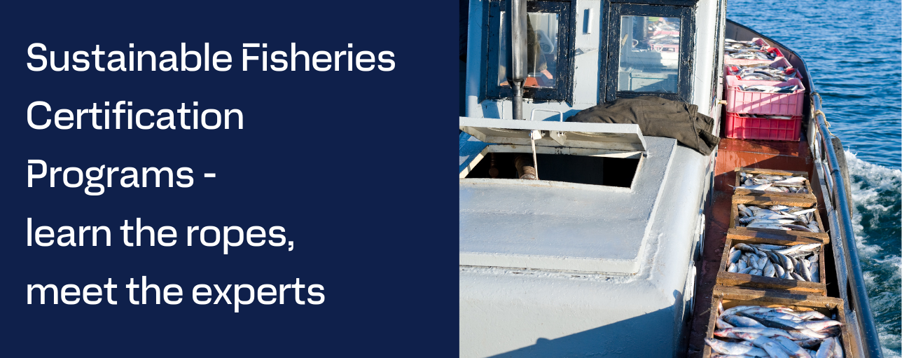 Image of a fishing boat and learn the ropes meet the experts words