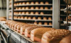 FSSC 22000 Version 6 Lead Auditor Training Course based on ISO 22000