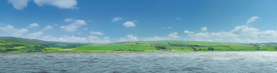 Broader view revised