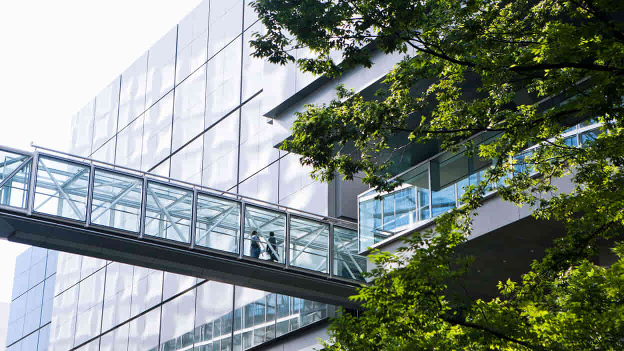 Business men walking on sky bridge