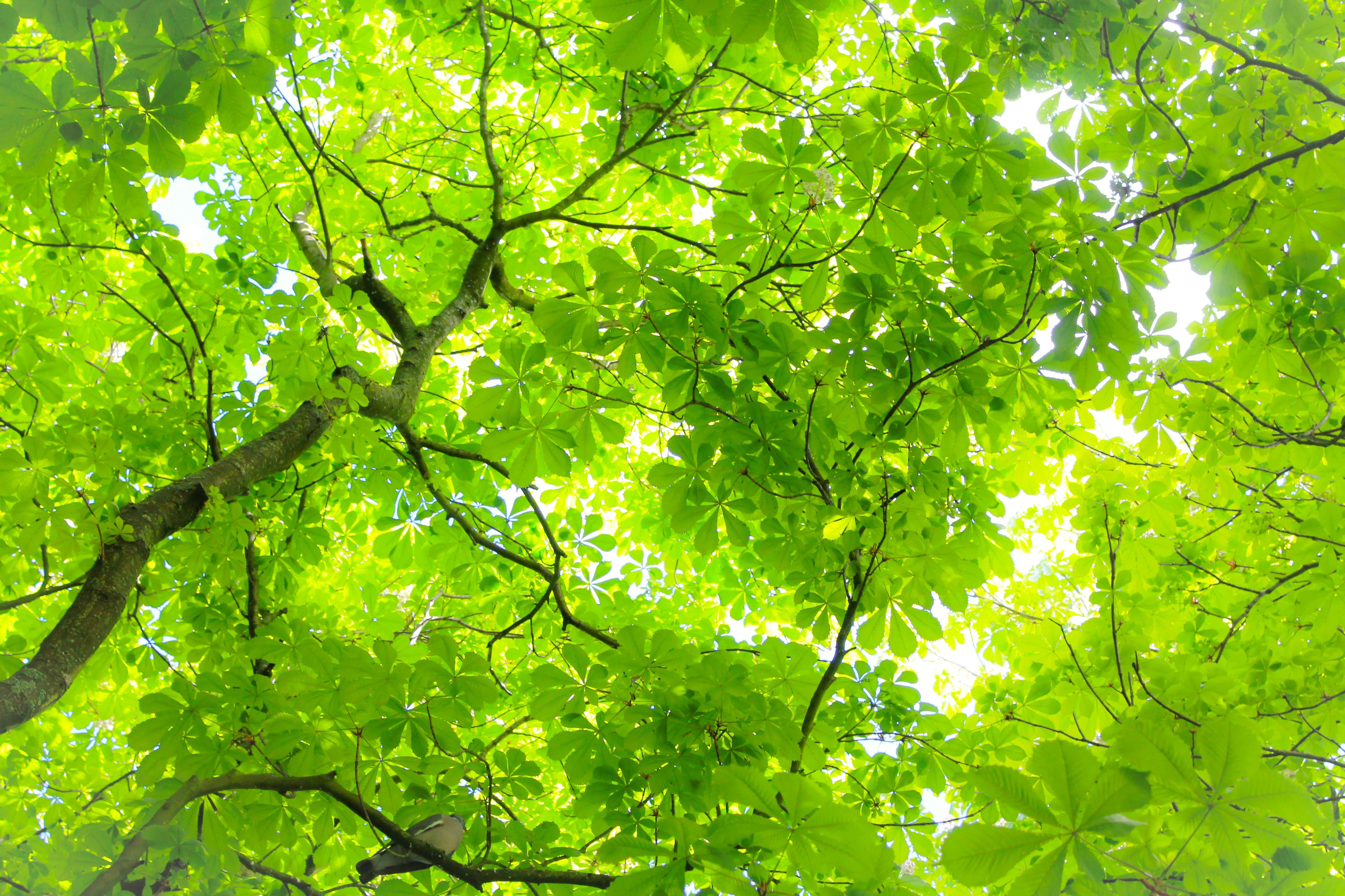 ISO 14001:2015 Environmental Management System Induction eLearning course