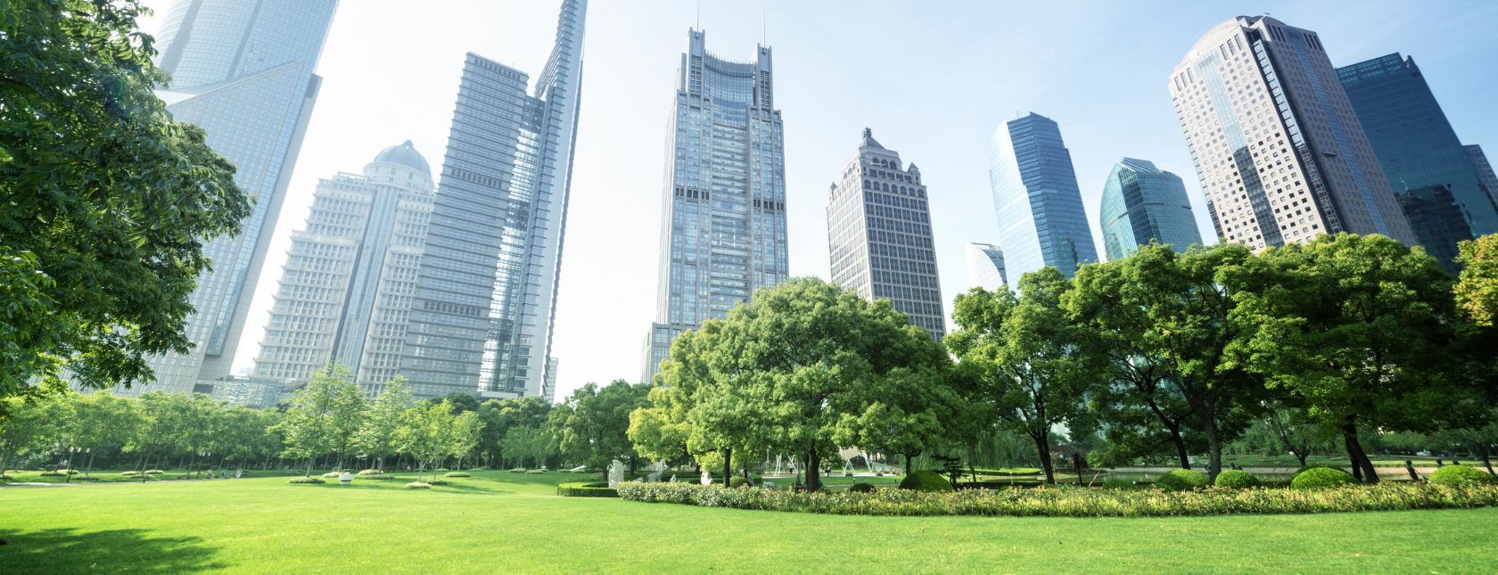 Modern glass buildings and green