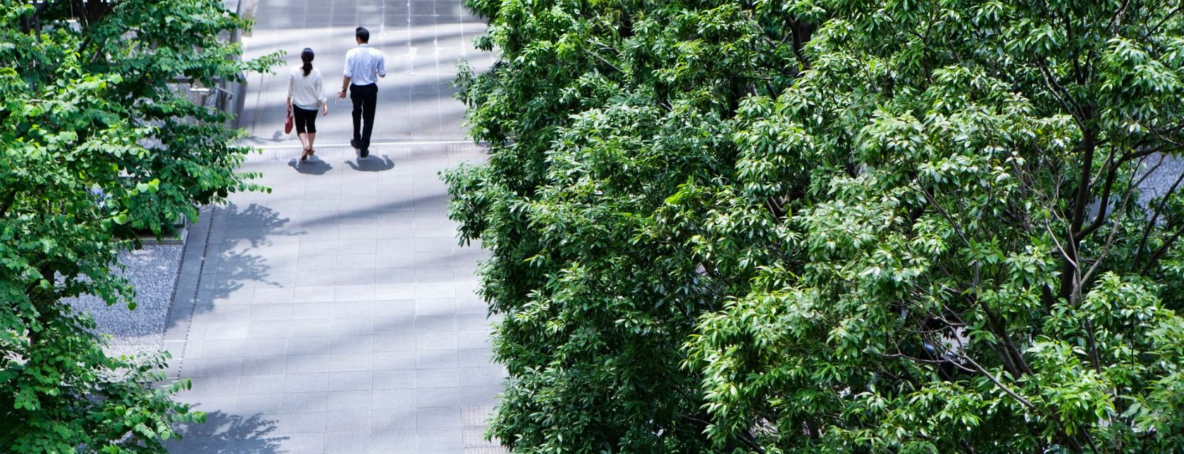 A business man and woman walking on a passage among trees together