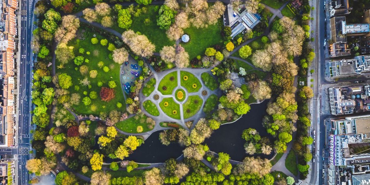 ariel view of a green park
