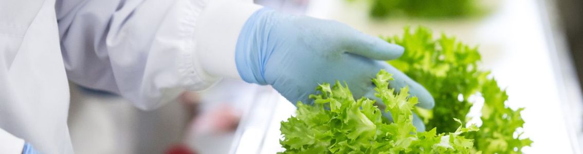 Understanding Food Safety Management Systems (FSMS)