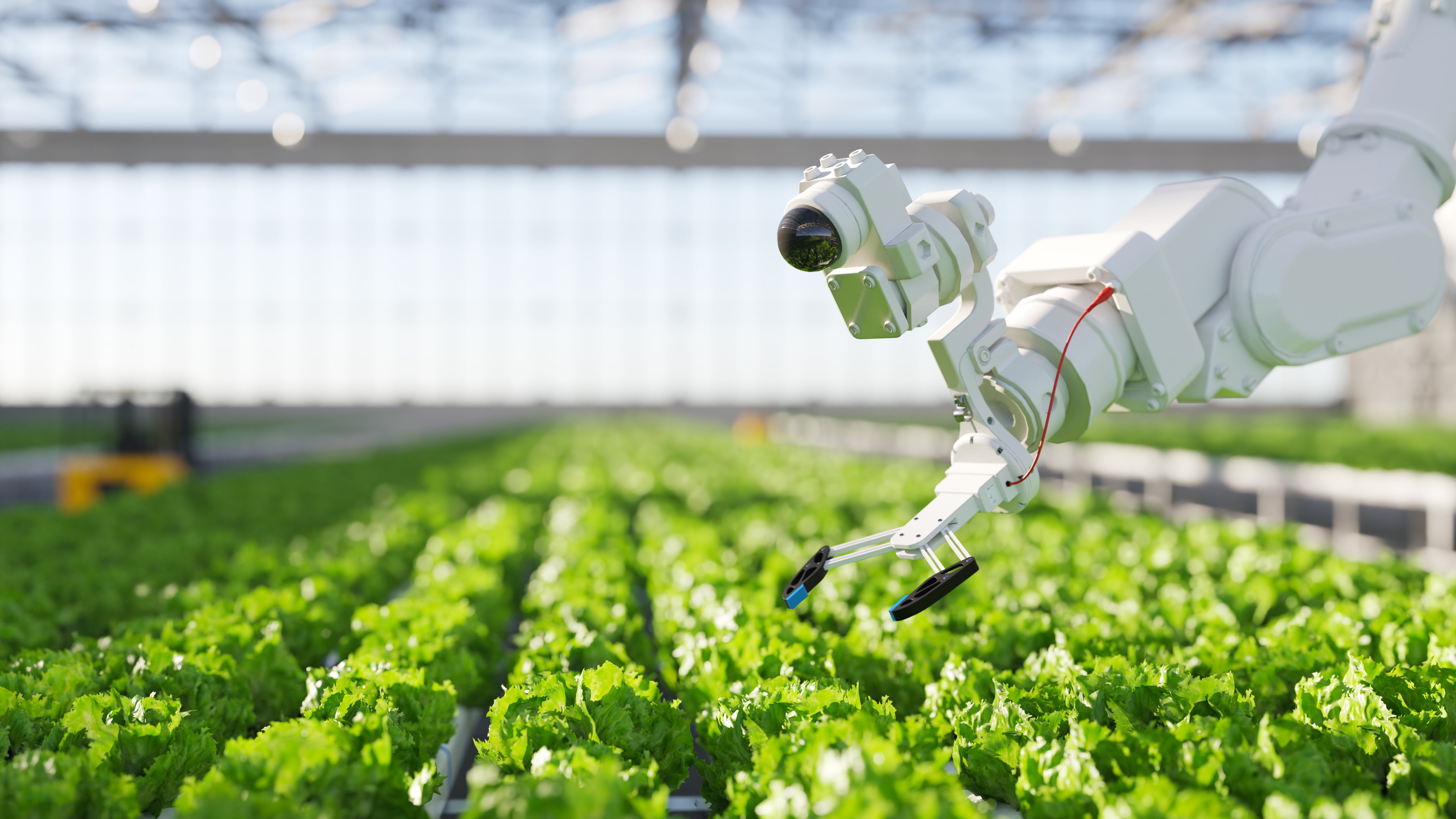 Robot planting in Greenhouse