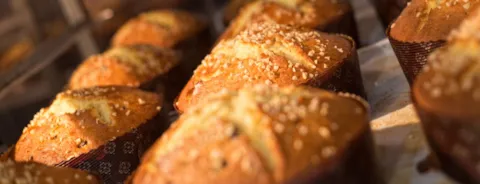 Bread in the oven baking