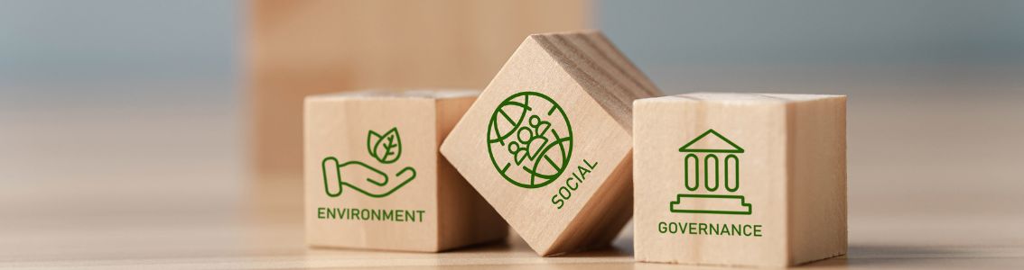 ESG risks: definition and risk management strategies