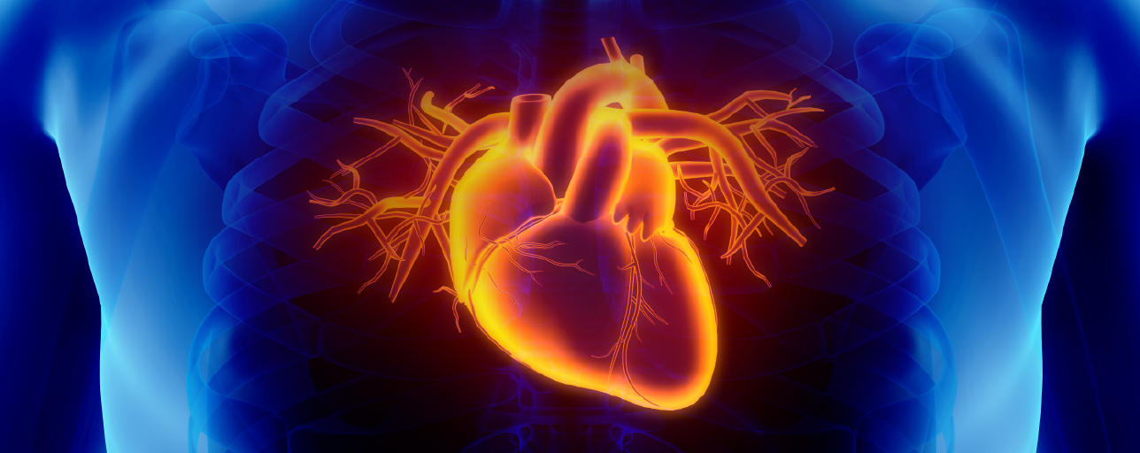 dnv-healthcare-s-chest-pain-program-certification