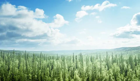 Espresso survey - Environmental audit findings snapshot