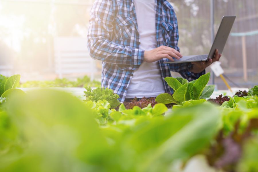 DNV Food Chain Traceability