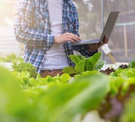 Food Chain Traceability