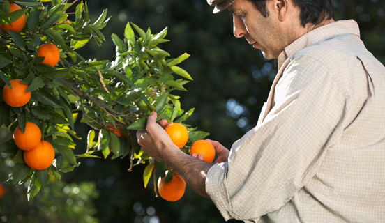 Food Safety Management Training