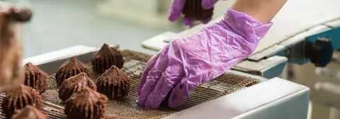 Food Safety Culture Production Line