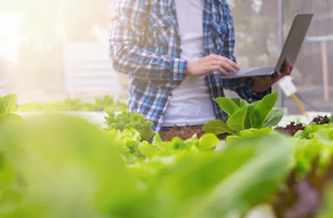 Transition to FSSC 22000 Version 6