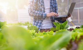 FSSC 22000 Version 6 implementer Training Course eLearning