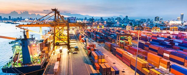 Foreign supplier verification program (FSVP)