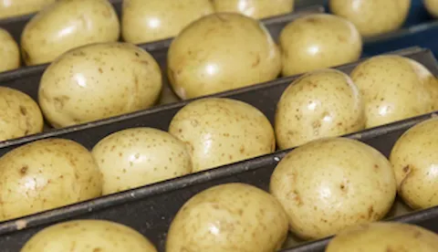 GLOBALG.A.P IFA Plants version 6