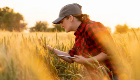 GLOBALG.A.P IFA transition to Version 6