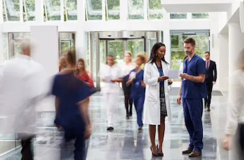 Download the brochure