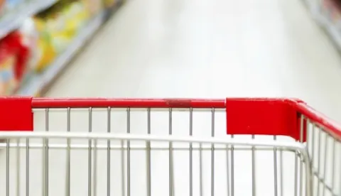 Wholesale and trading food services