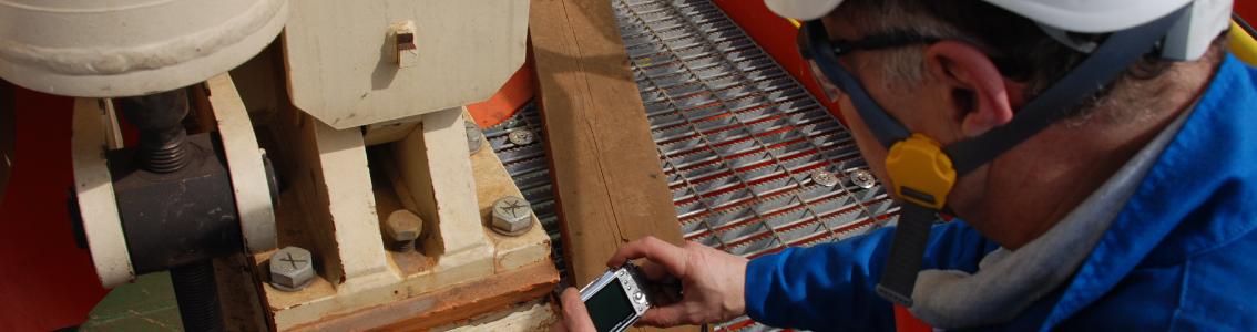 ISM Internal Auditor