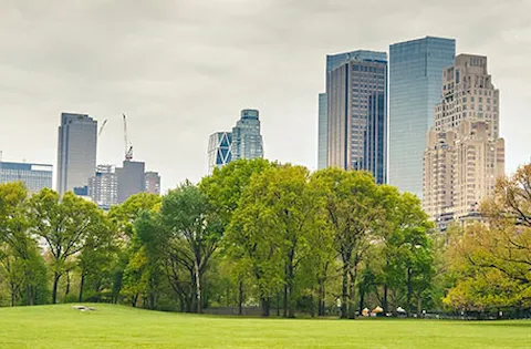 ISO 14001 Certification: Environmental Management System