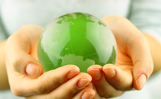 ISO 14001 Certification: Environmental Management