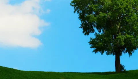 ISO 14001 EMS Foundation