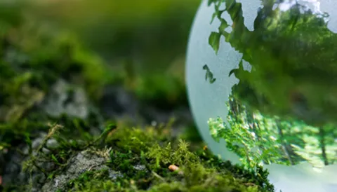 ISO 14001:2015 EMS Auditor/Lead Auditor