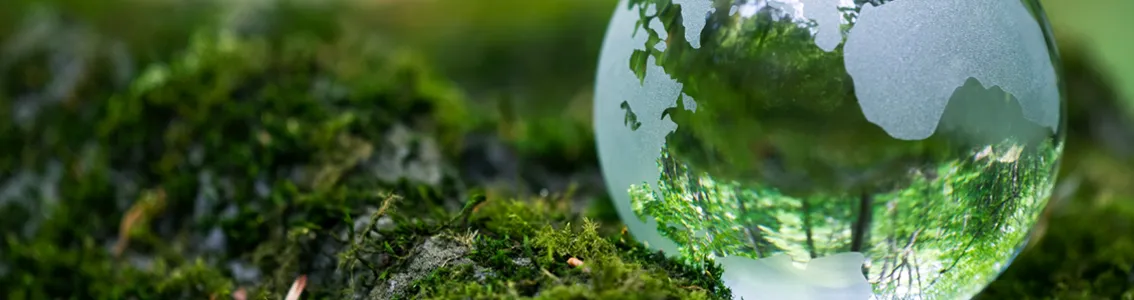 A glass globe as Banner image for ISO 14001:2015 Environmental Management Systems Auditor/Lead Auditor training course