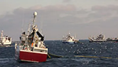 Marine Stewardship Council (MSC) Certification