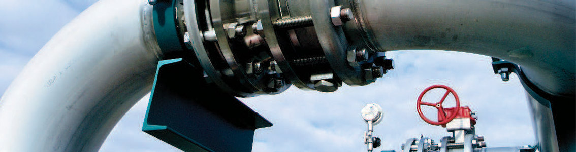 Risk Based Inspection Planning & Management