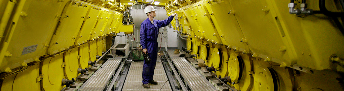 SaftyReliabilityAssessment