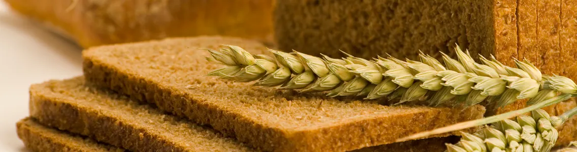 Sliced bread and wheat as Banner image for SQF Advanced Practitioner Training Course
