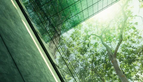 Are companies committed to sustainability?