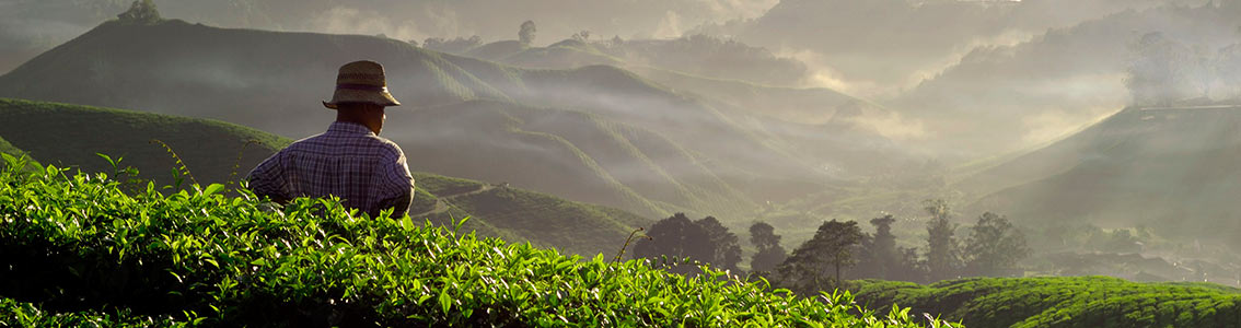 Sedex members ethical trade audits - SMETA 