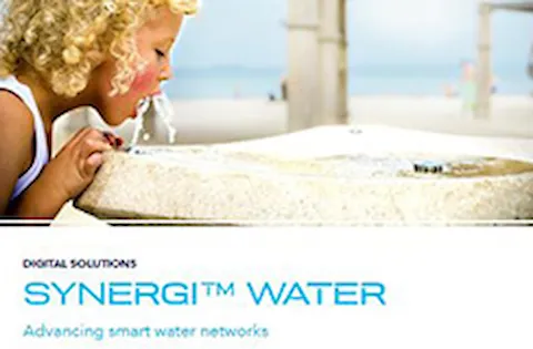 Synergi Liquid brochure