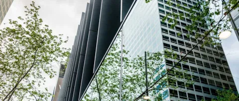 Building's mirror reflection