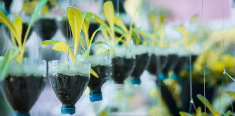 Recycle water bottle pot