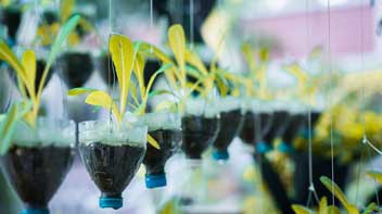 Transparency and trust in communication of circularity