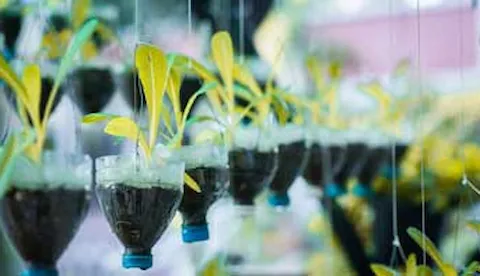 Transparency and trust in communication of circularity