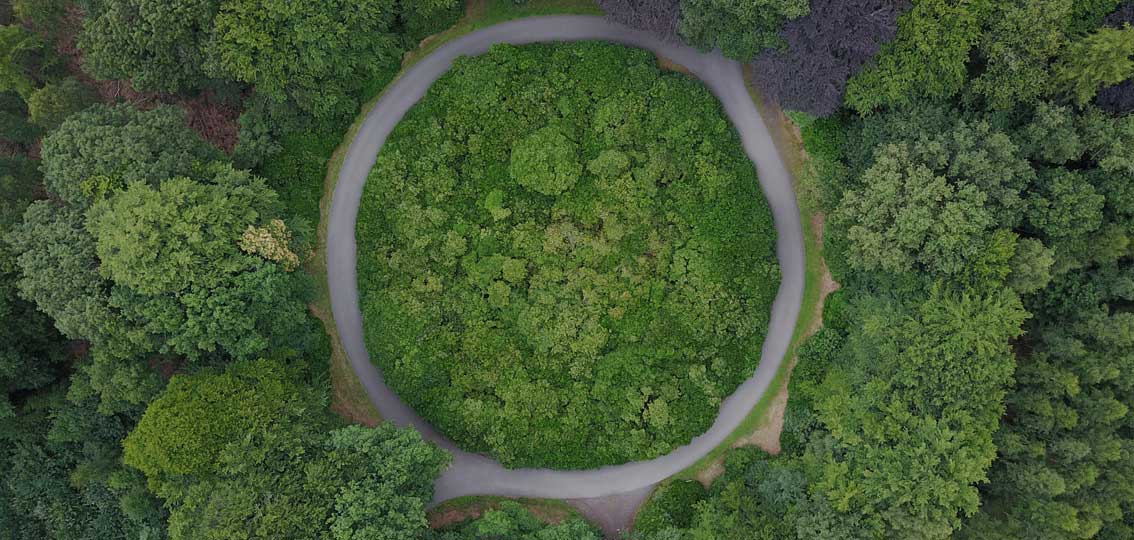 roundabout in a forest