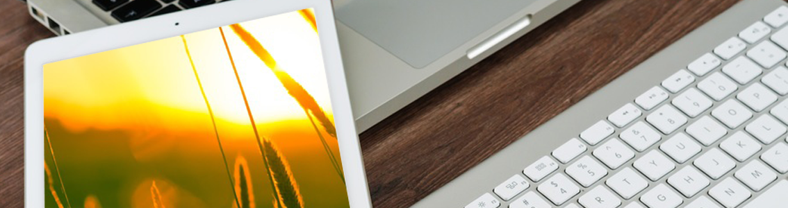 A wheat field captured before the setting sun displayed on a tablet for course: Virtual Training: Prevention Controls Qualified Individuals