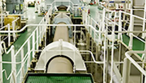 Shaft whirling and axial vibration analysis