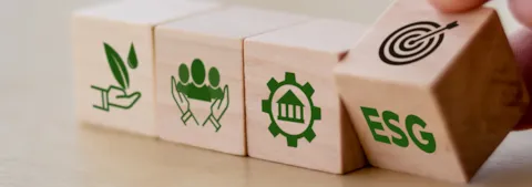 dice representing sustainable and environmental goals