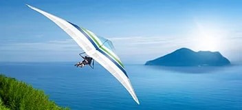 Online Self-Assessment Suite