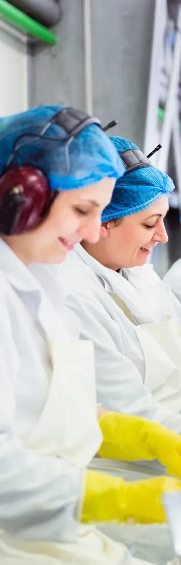 Safe Quality Food SQF California Food Safety Certification Safe Quality Food SQF California Food Safety Certification