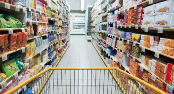 Wholesale and trading